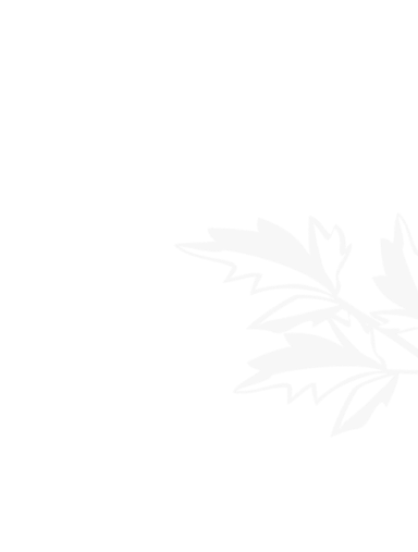 世界杯（买球）中国官方网站入口 - World Cup投注平台